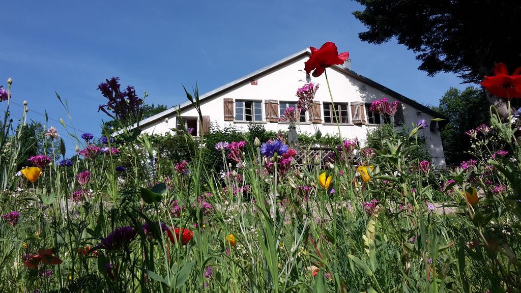 Chambre&Table D'Hotes Ptitmonde Bed and Breakfast Ban-sur-Meurthe-Clefcy Exterior foto