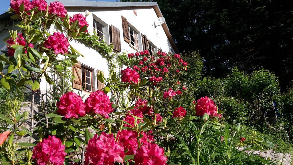 Chambre&Table D'Hotes Ptitmonde Bed and Breakfast Ban-sur-Meurthe-Clefcy Exterior foto